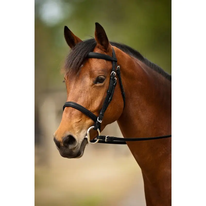 Nunn Finer Event Bridle