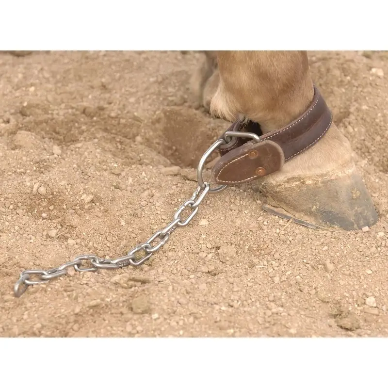 Al Dunning Kick Chain