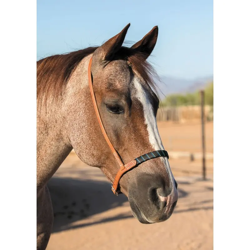 Professional's Choice Al Dunning Harness Leather Ultimate Cavesson
