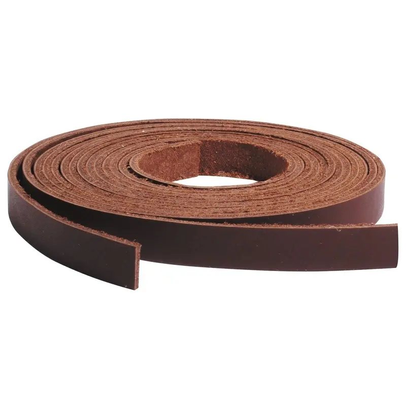 Saddle Strings, Pair, 3/8"W