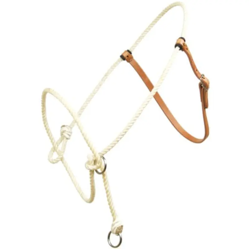 Training Halter