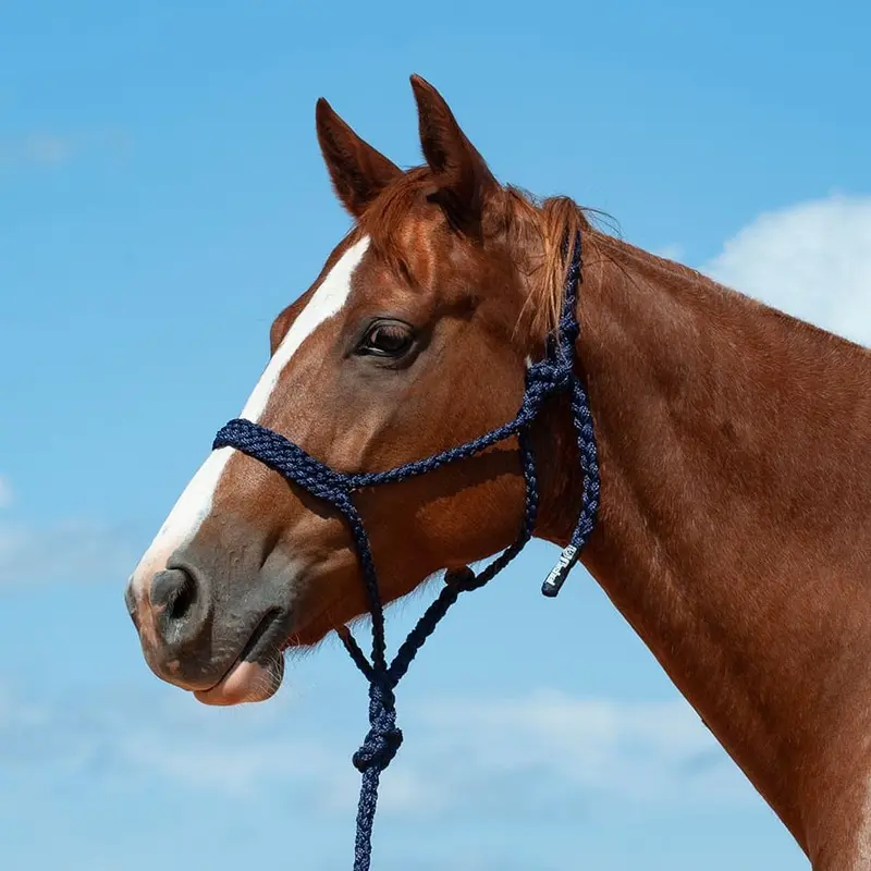 Braided Mule Tape Halter with 9' Lead