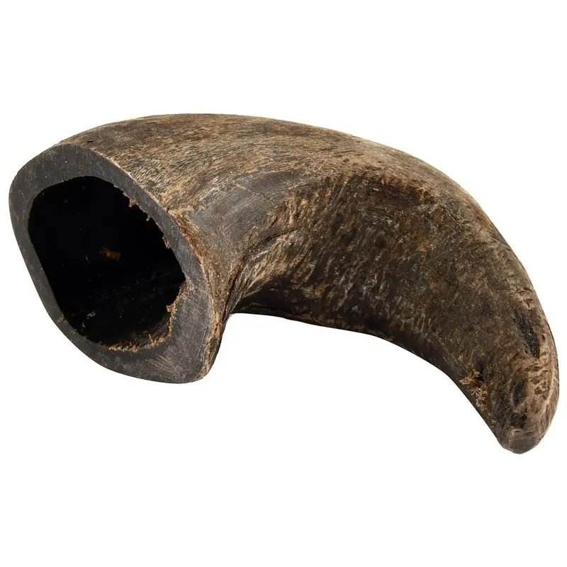 Buffalo Hornz