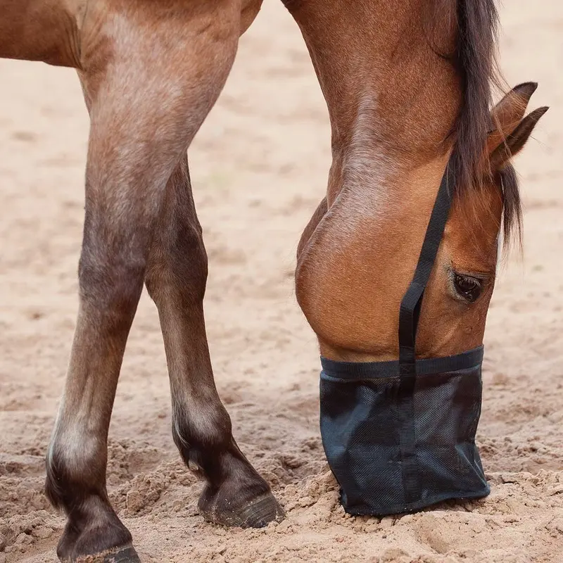 Feed Rite Horse Feed Bag