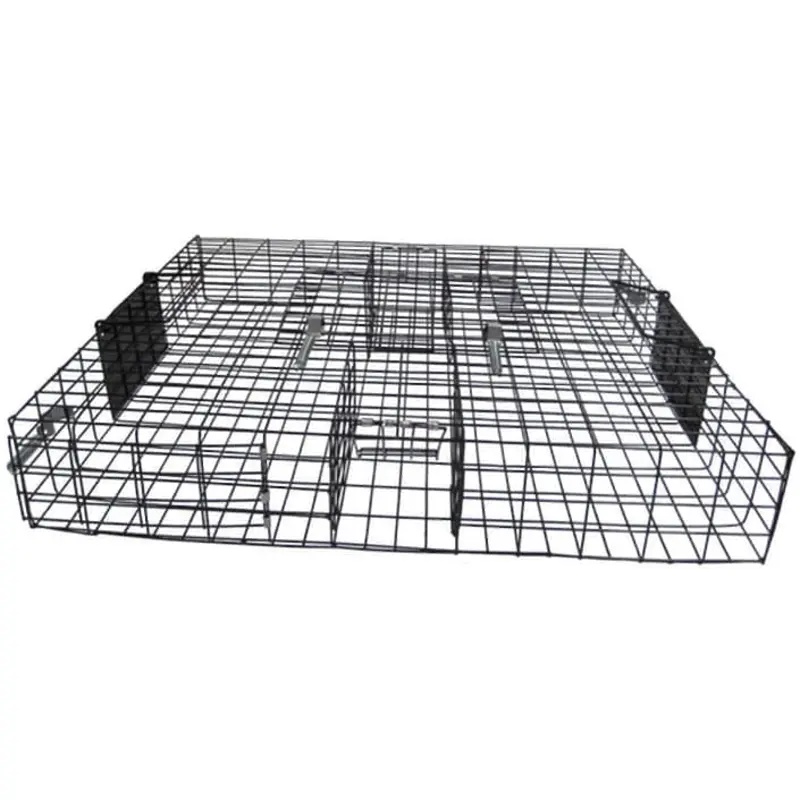 The Squirrelinator Squirrel Trap