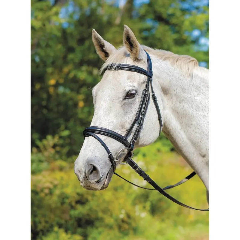 Shires Avignon Louisville Bridle