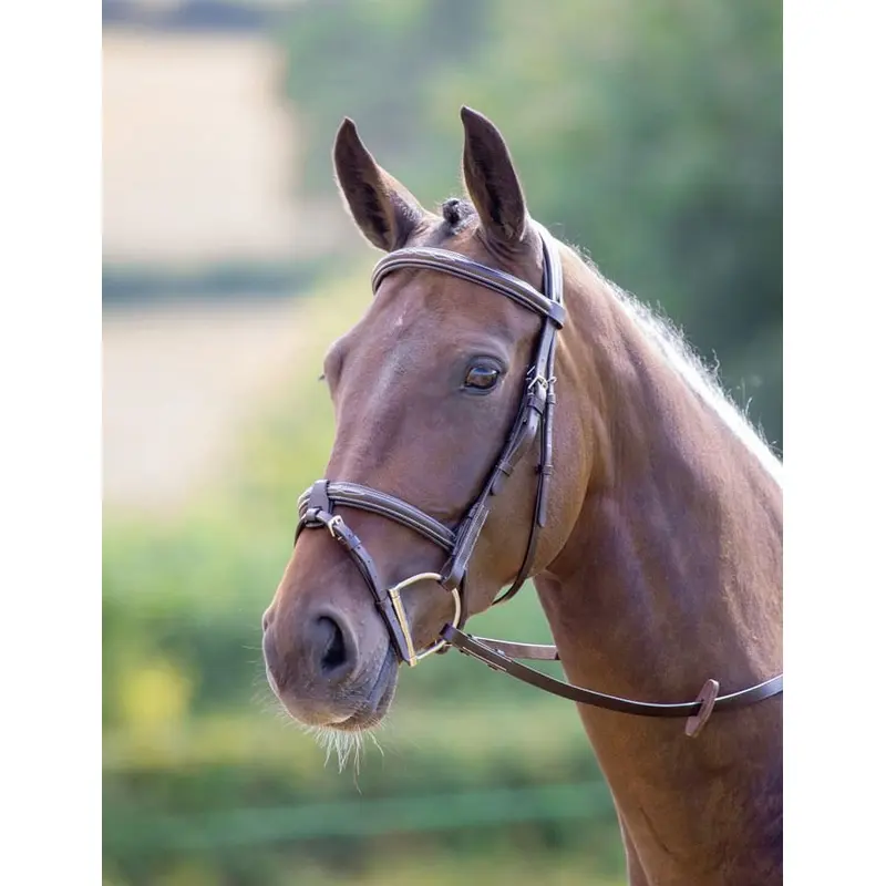 Shires Avignon Portland Bridle, Havana