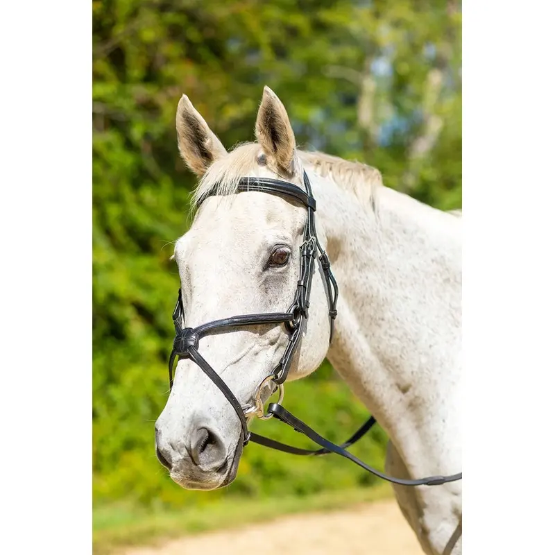 Shires Avignon Woodside Bridle