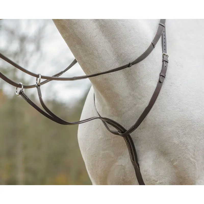 Shires Running Martingale, Havana
