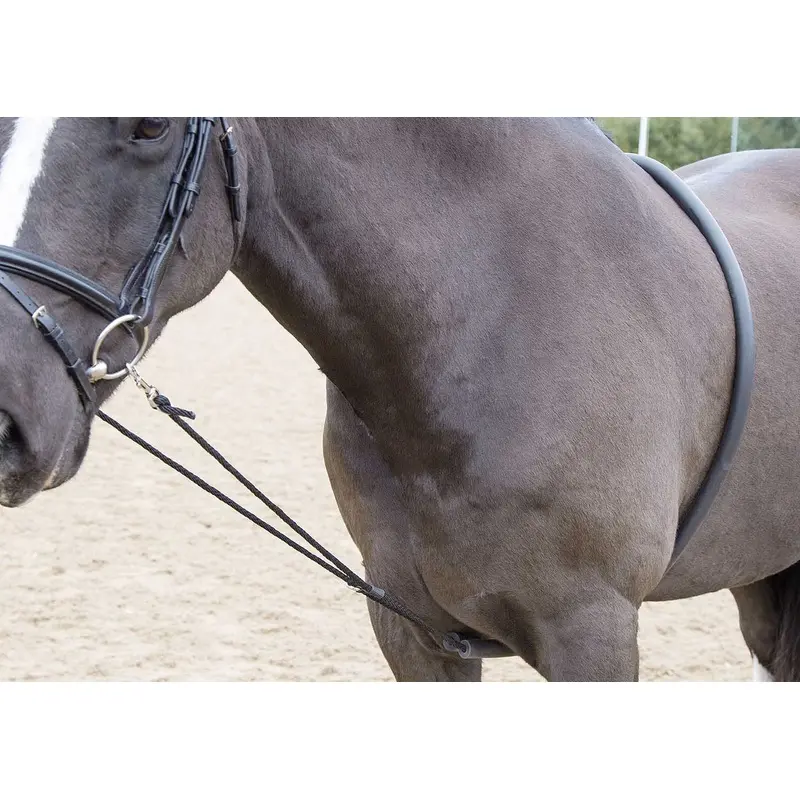 Shires Soft Lunge Aid