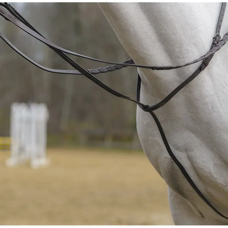 Shires Standing Martingale, Havana