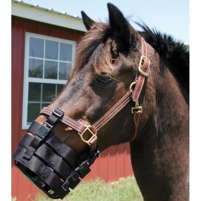 Jeffers Anti-Grazing Horse Muzzle