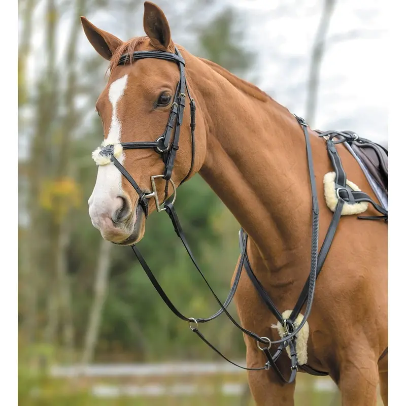 Shires Five Point Breastplate