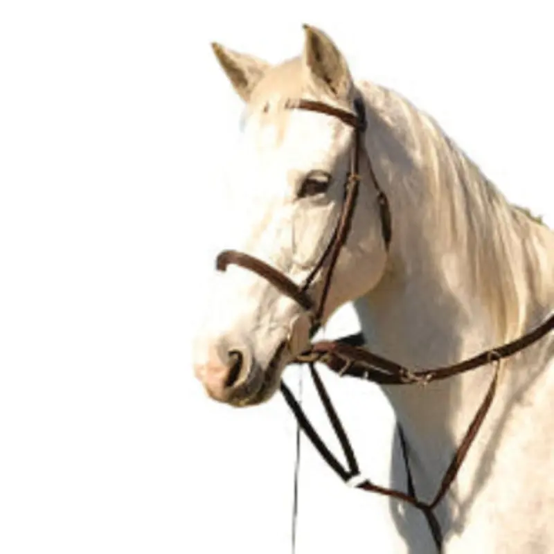Jeffers German Olympic Running Martingale for Horses with Reins
