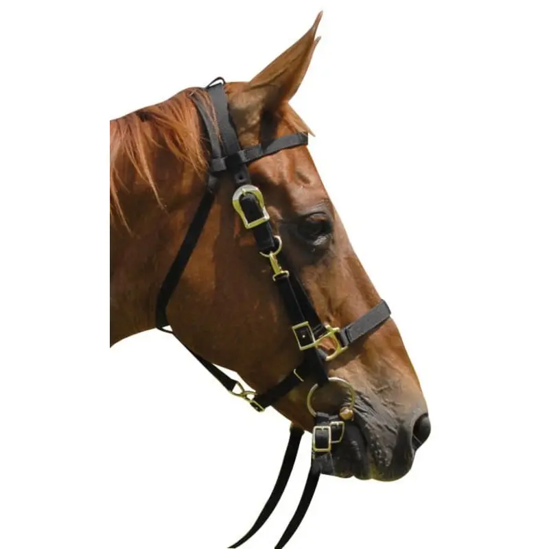 Jeffers Nylon Combination Horse Halter Bridle with Reins