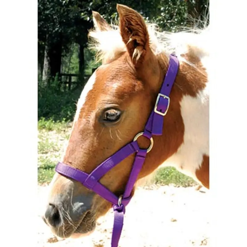 Jeffers Nylon "Grow With Me" Weanling Halter, 3/4"W