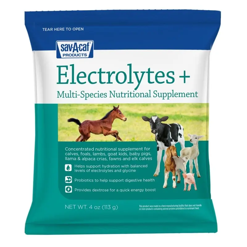 Sav-A-Caf Electrolytes Plus