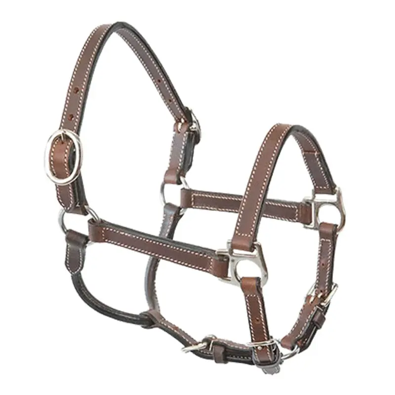 Pony Leather Halter