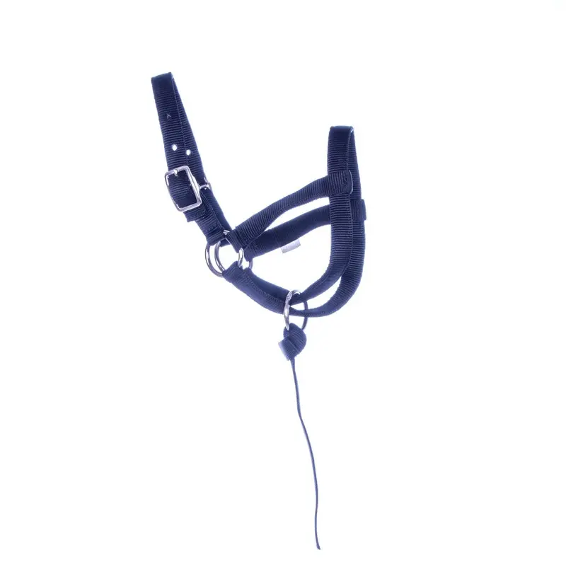 Jeffers Nylon Llama Halter with Catch Strap