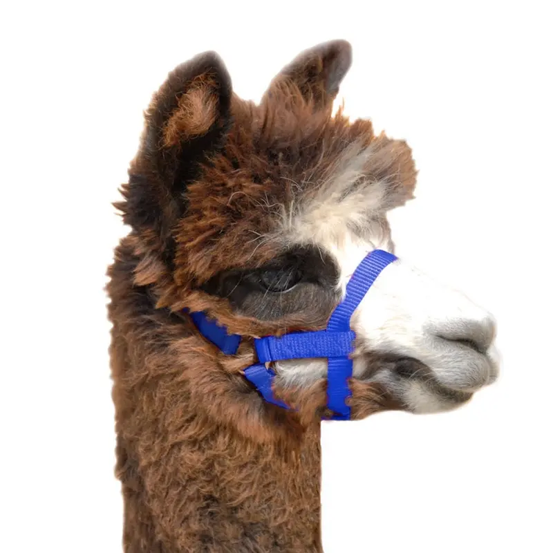 Weaver Leather Nylon Alpaca Halter