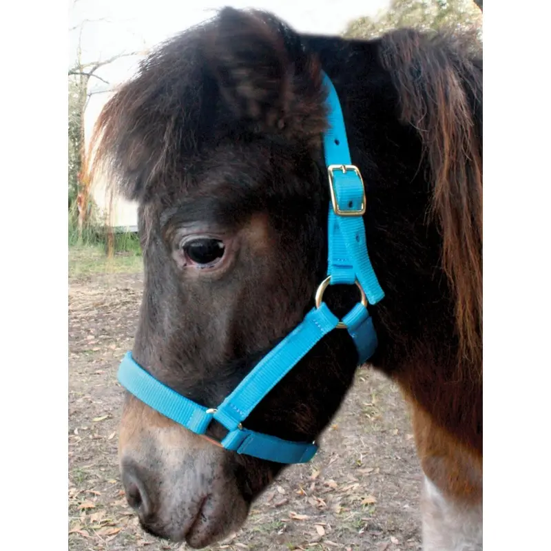 Jeffers Nylon Miniature Horse Halters, 2-Ply, 3/4"