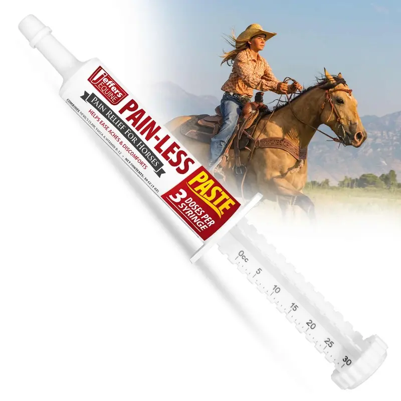 Jeffers Pain-Less Comfort Paste for Horses, 30cc Syringe