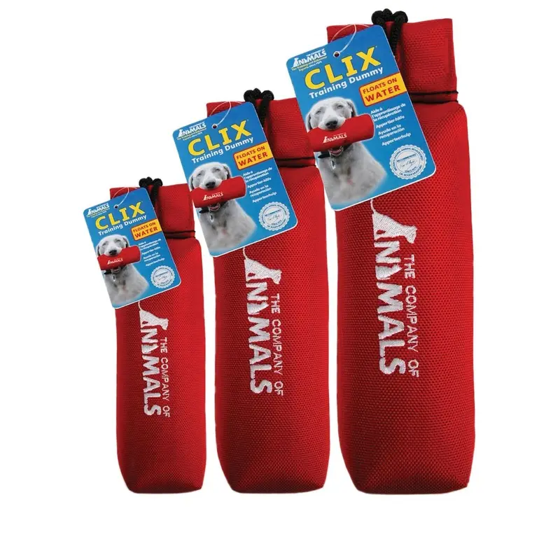 CLIX Canvas Training Dummy