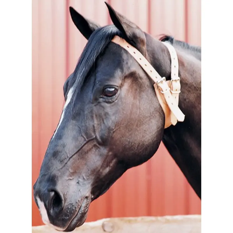 The Original Miracle Cribbing Collar, Average