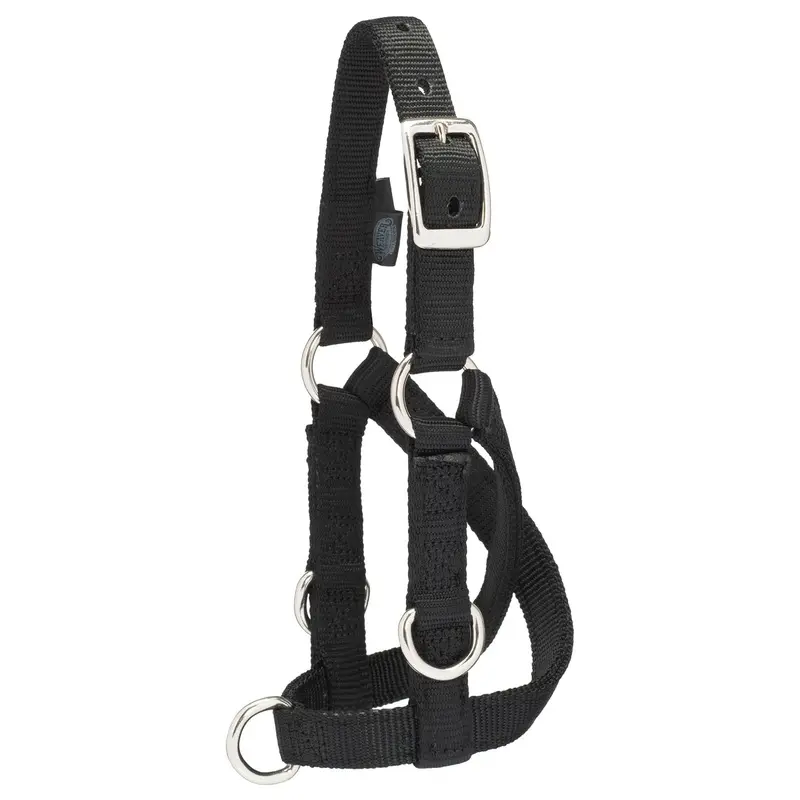 Sheep/Goat Treadmill Halter