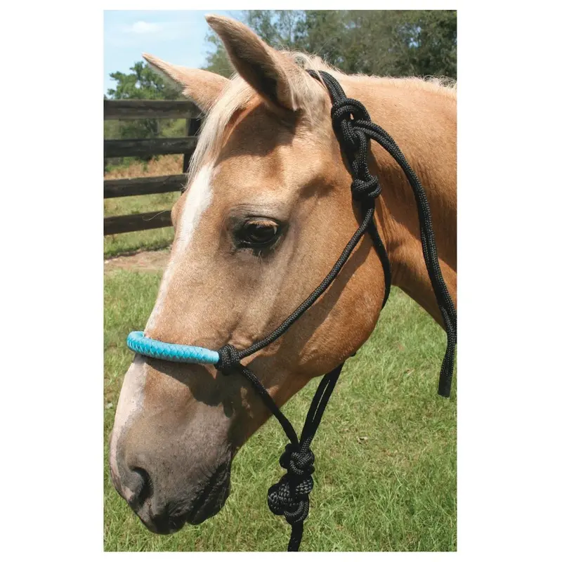 Jeffers Solid Nose Braided Poly Rope Horse Halter & Lead Set