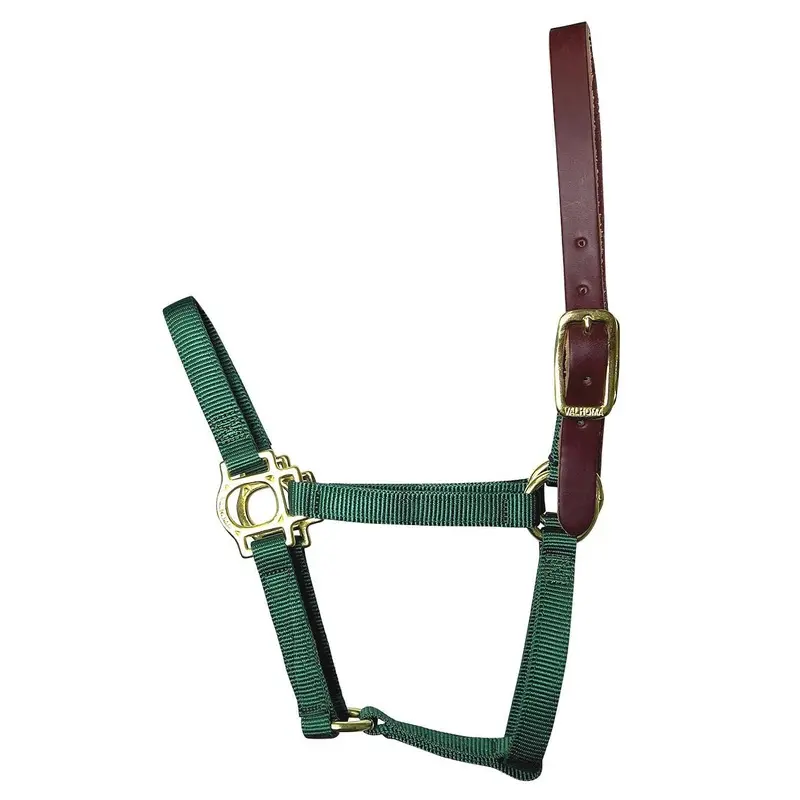 Valhoma Foal & Yearling Premium Breakaway Nylon Halter with Leather Crown