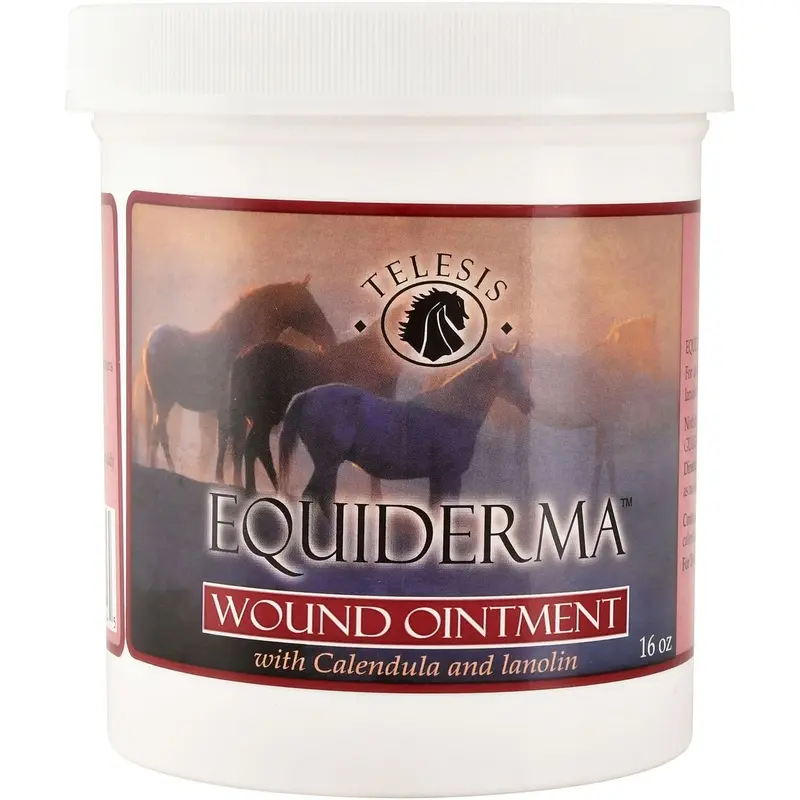 Equiderma Wound Ointment