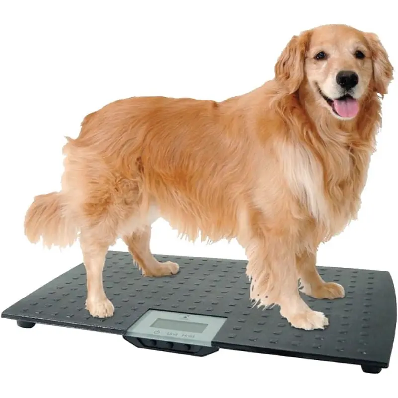 Large Digital Pet Scale
