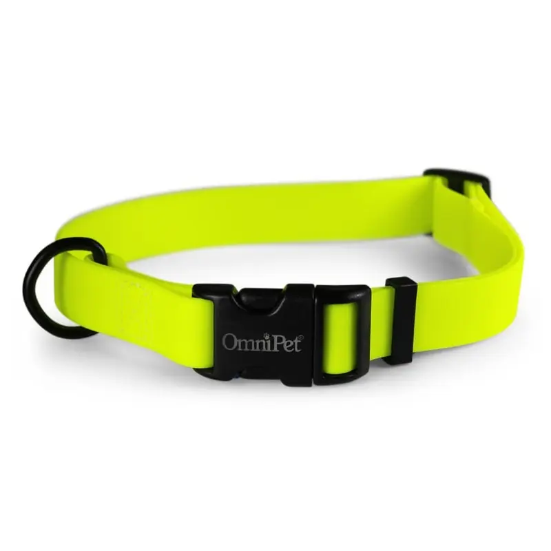 Carnival Dog Collars