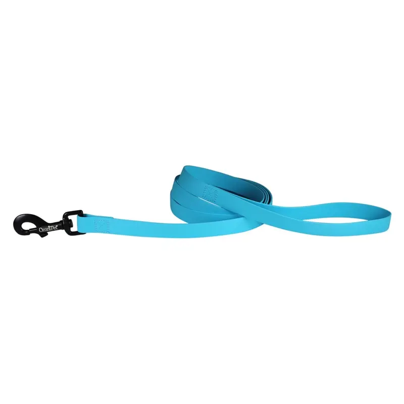 Carnival Dog Leash