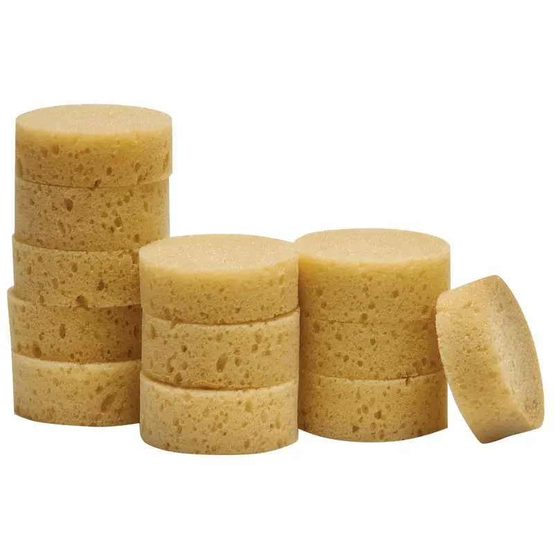 Sponges