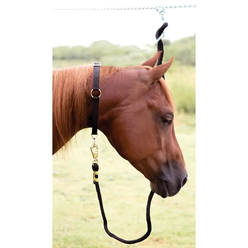 Mustang Horse Neck Collar, 1"