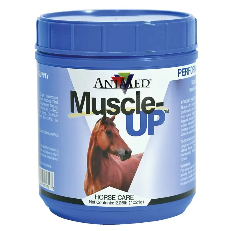 Muscle-UP Powder for Horses
