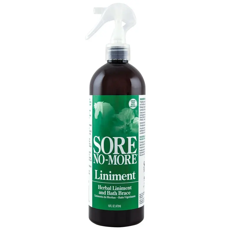 Sore No More Liniment Spray, 16 oz