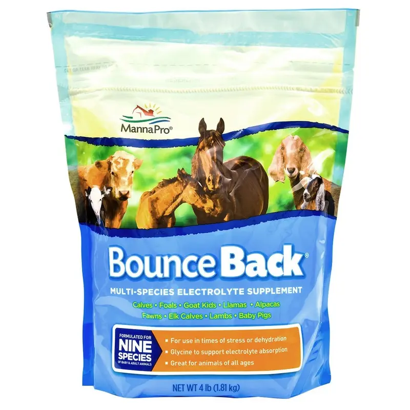 Bounce Back Multi-Species Electrolyte Supplement