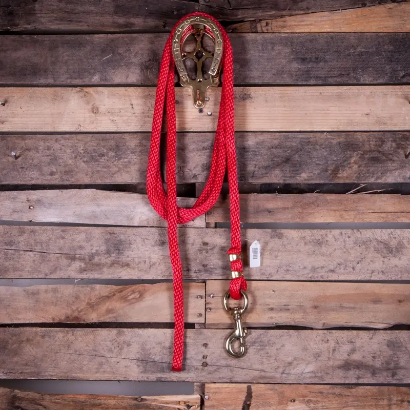Poly Lead Rope with Bolt Snap, 10'L