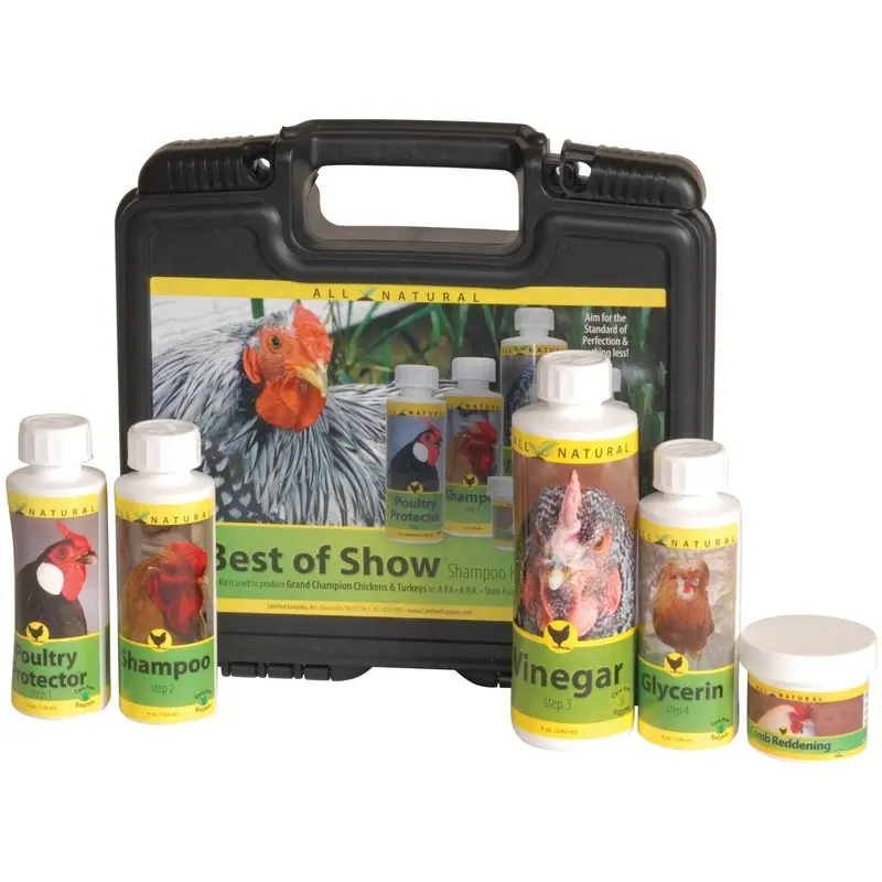 Best of Show