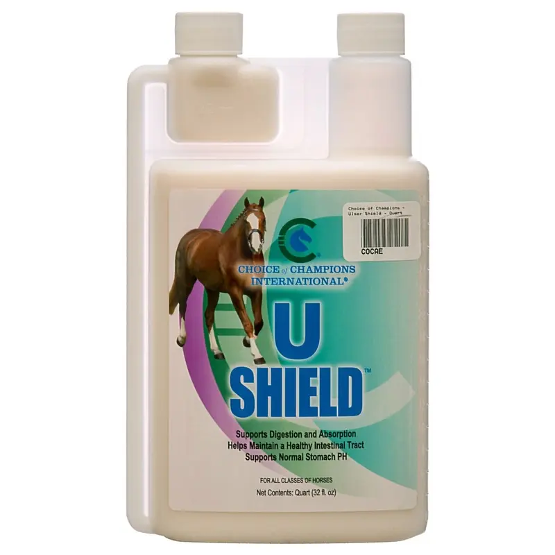 U Shield by Choice of Champions International