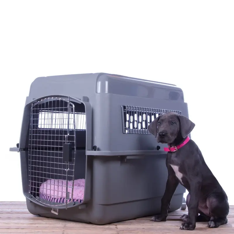 Jeffers Sky Kennel Travel Pet Kennel with Food & Water Bowls Included