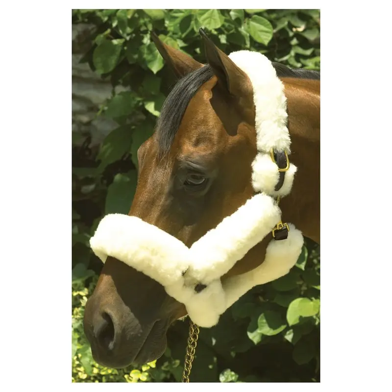 Perri's Genuine Sheepskin Shipping Halter, Havana/Natural