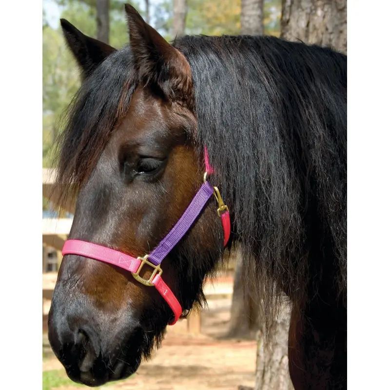 Perri's Nylon Breakaway Halter, Cob Size