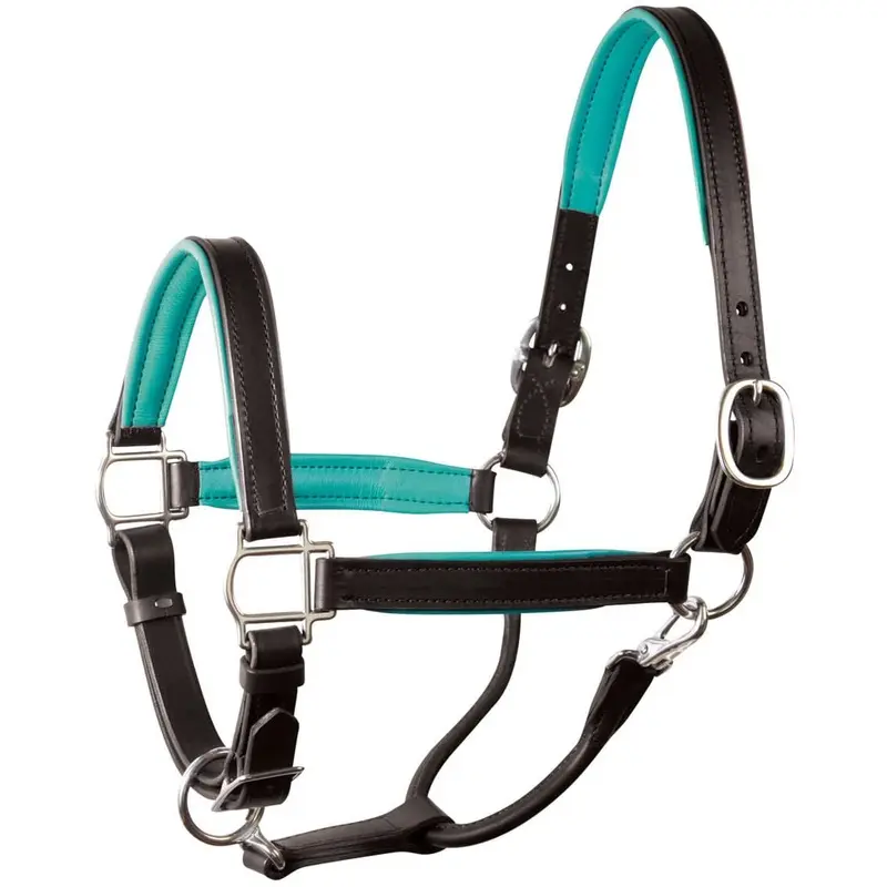 Perri's Soft Padded Leather Halter, Black/Turquoise