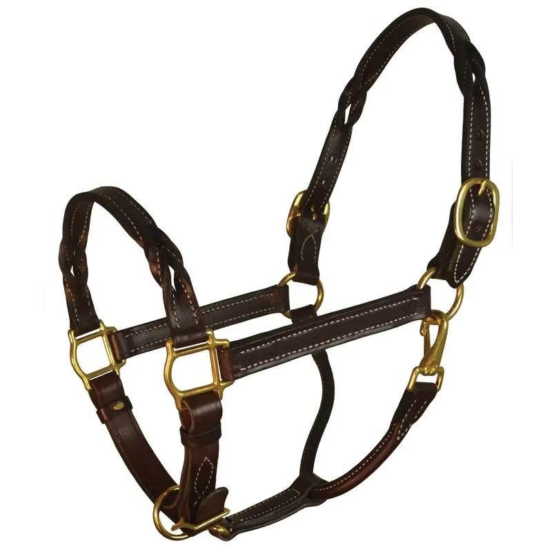 Perri's Twisted Leather Halter