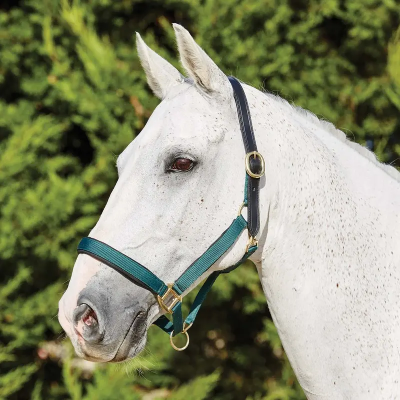 Deluxe Padded Nylon Breakaway Horse Halter