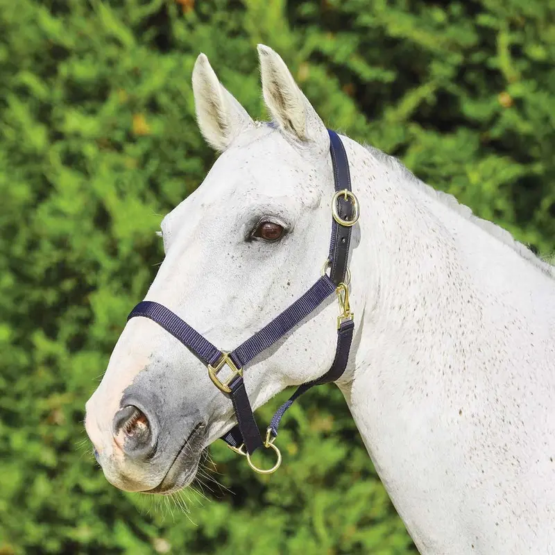 Nylon Breakaway Horse Halter